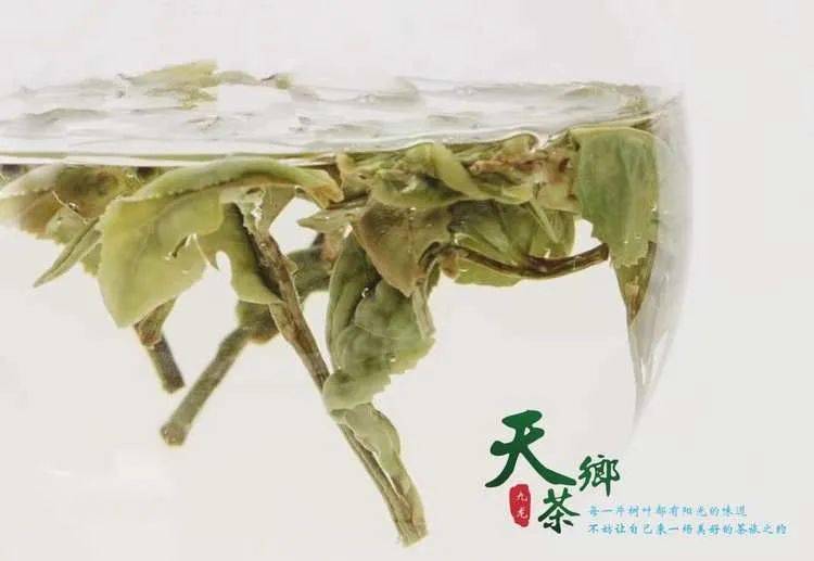 探秘蝉蜕秘境，揭秘往年11月14日蝉蜕最新价格揭秘