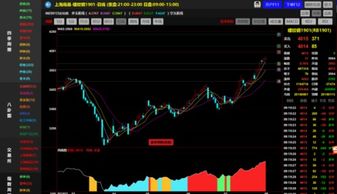 2024年11月17日 第23页