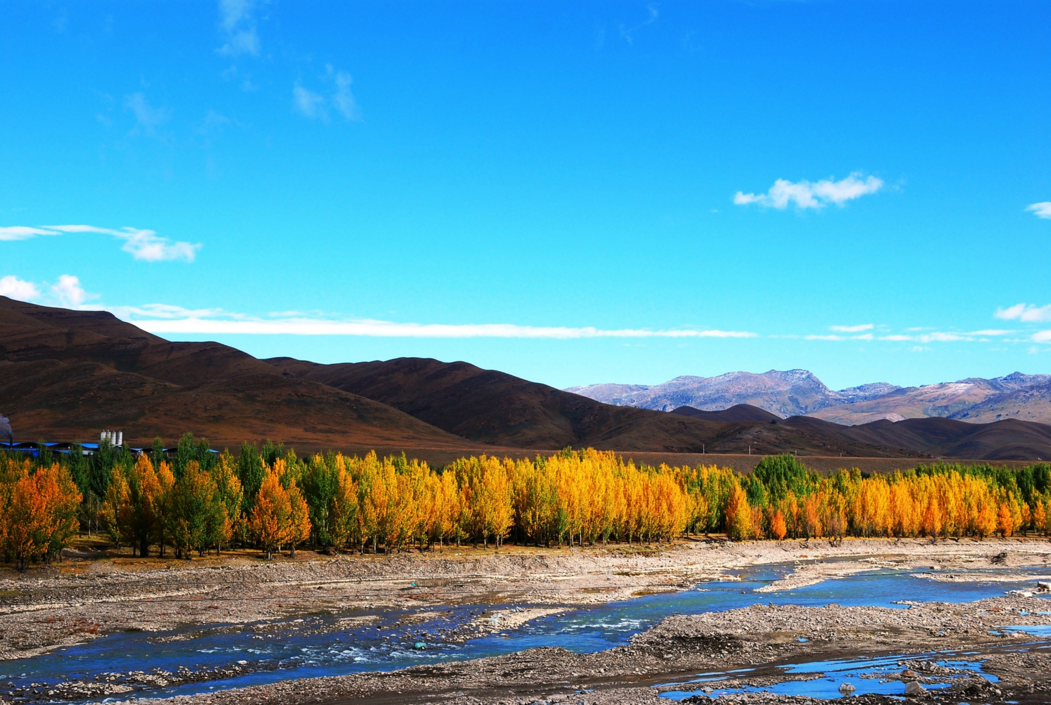 巴中自然之旅启程，探寻心灵净土的最新新闻之旅（2017年11月）