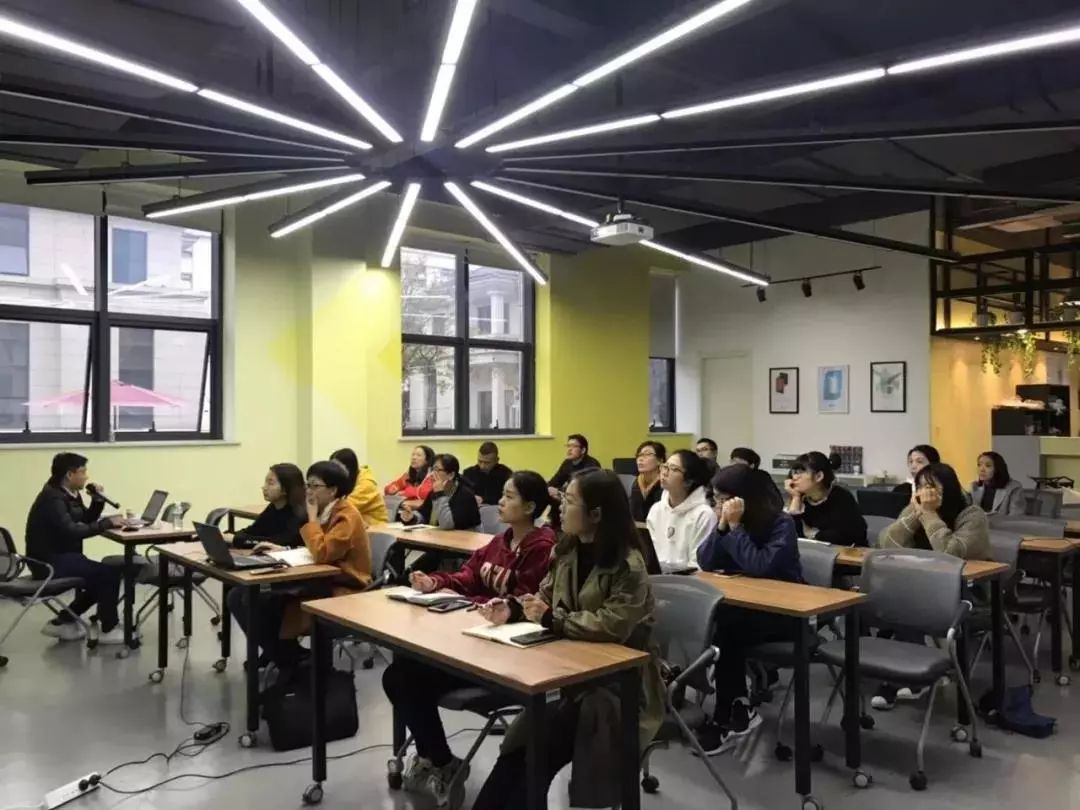 往年11月14日巨壳龙最新动态深度解析与要点探讨