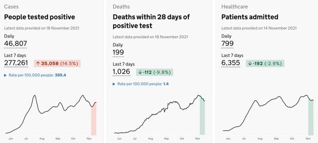 历史上的11月14日英国伦敦疫情深度解析与数据报告