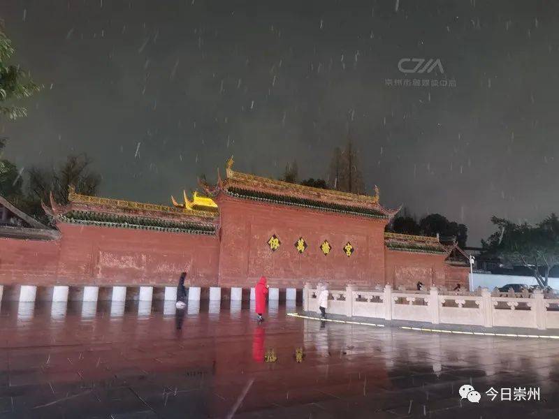 揭秘杨武最新动态，时代背景下的独特地位与十一月十四日新动态揭秘