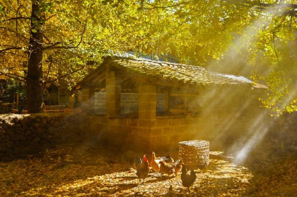 2024年11月17日 第15页