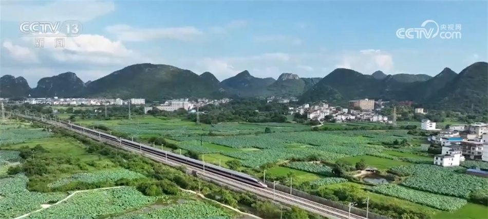 历史上的11月14日圆通运输，自然美景的心灵之旅启程日