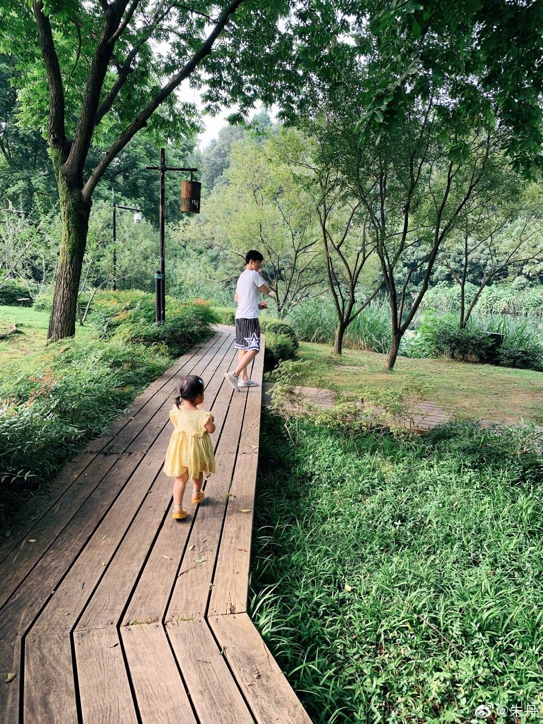 11月14日小姜带你启程，最新价格与自然美景的双重体验