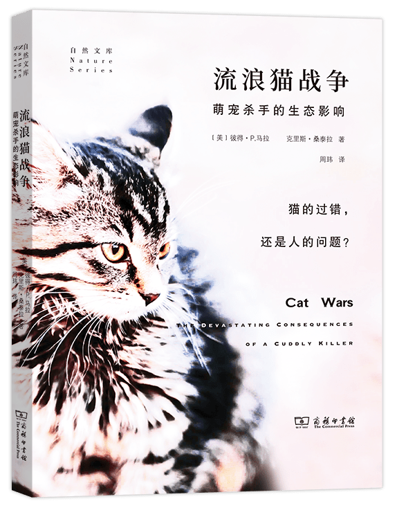 历史上的11月14日，猫咪apk下载最新版全面评测与解读