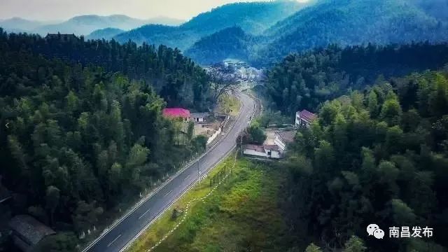 南昌秋日秘境，禽流感阴影下的一缕宁静探索之旅（最新消息）