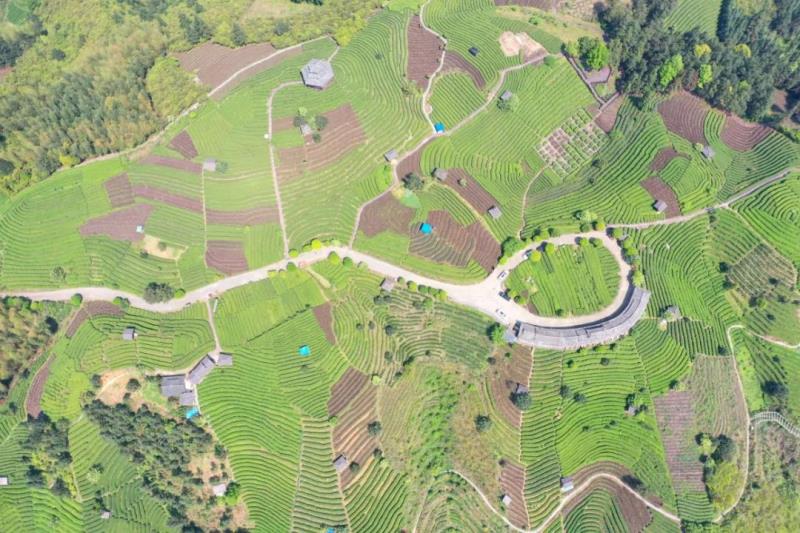 疫情下的探索之旅，旅游新视角与小巷深处的独特小店 11月疫情最新数据消息影响下的旅游动态