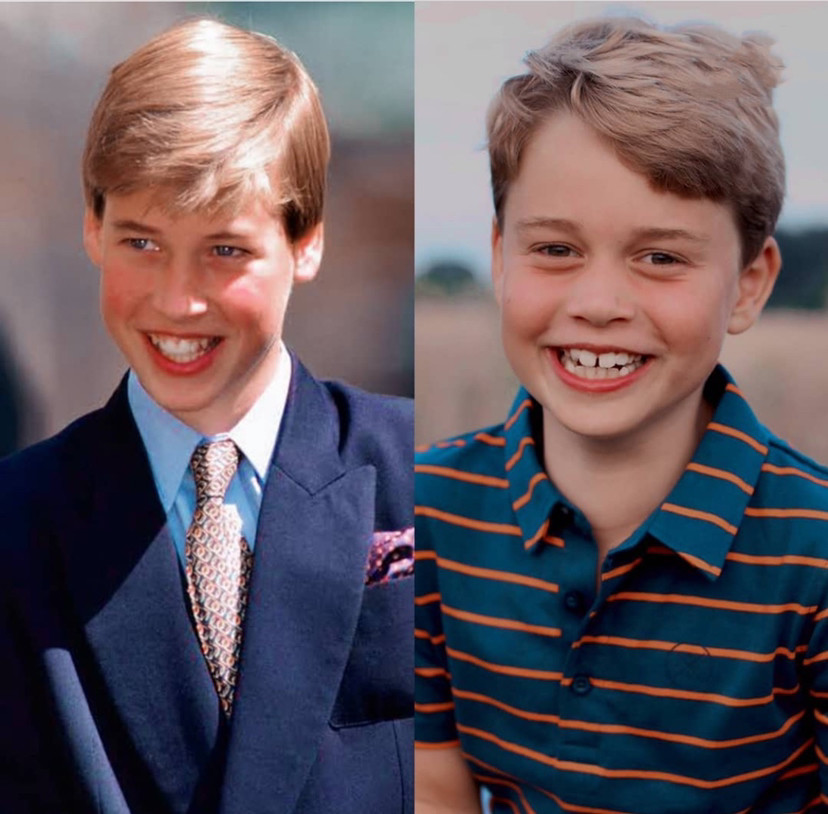 皇家御湾未来豪华生活展望，最新动态与未来展望（2024年11月）