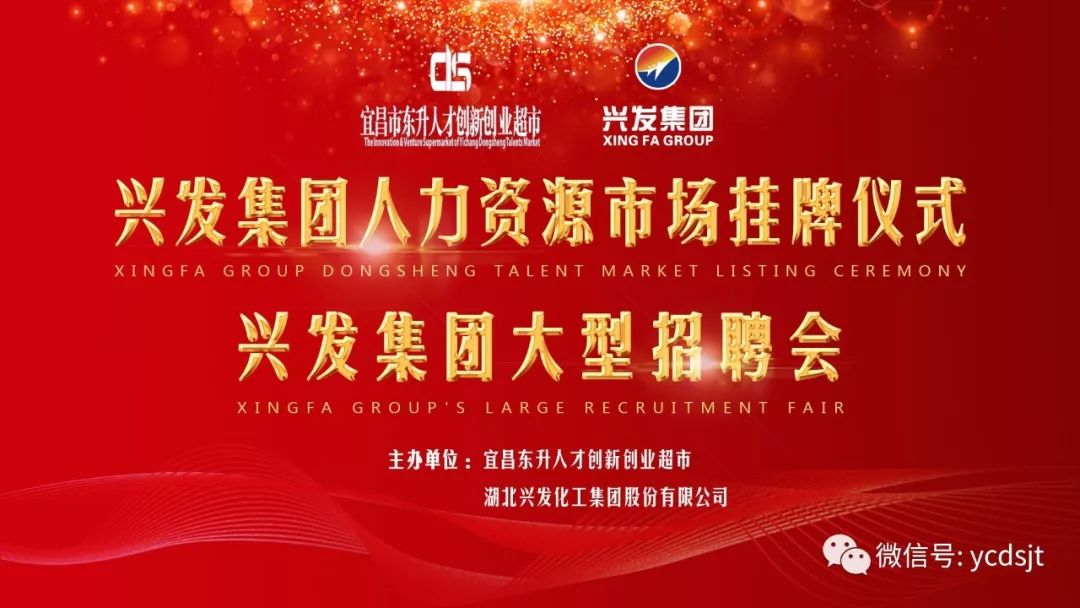 历史上的11月14日合肥人才市场招聘会深度解读，最新招聘信息与个人观点分享