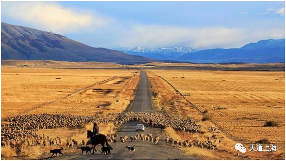 探索自然秘境，发现外卖新纪元，遇见内心的宁静与旅行新世界