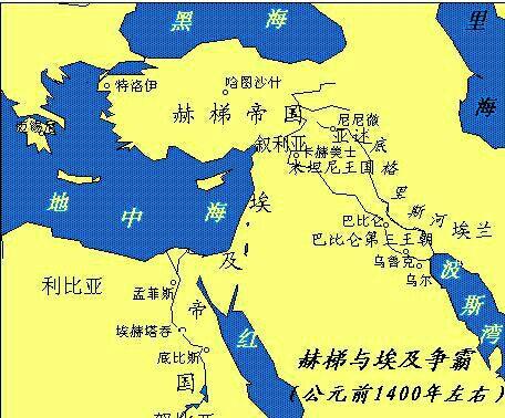 历史上的11月14日埃及局势深度解析与最新消息汇总