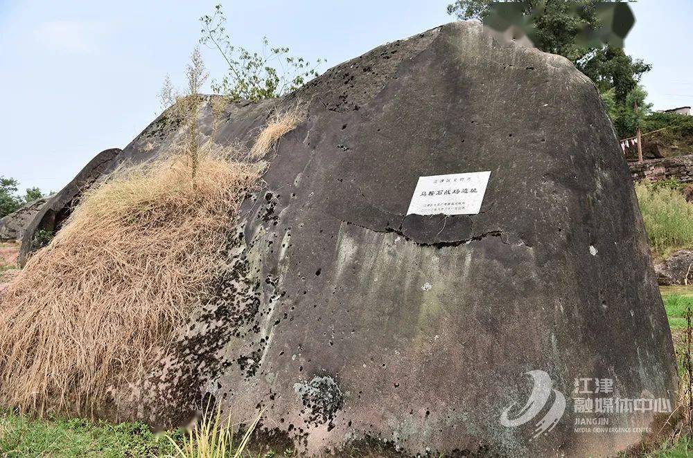 揭秘历史上的11月15日麦基最新消息，探索背后不为人知的秘密故事