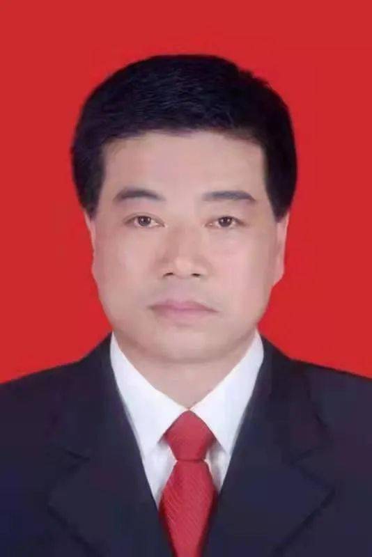 杨宜新11月工作新动向，重点任务聚焦，未来发展展望