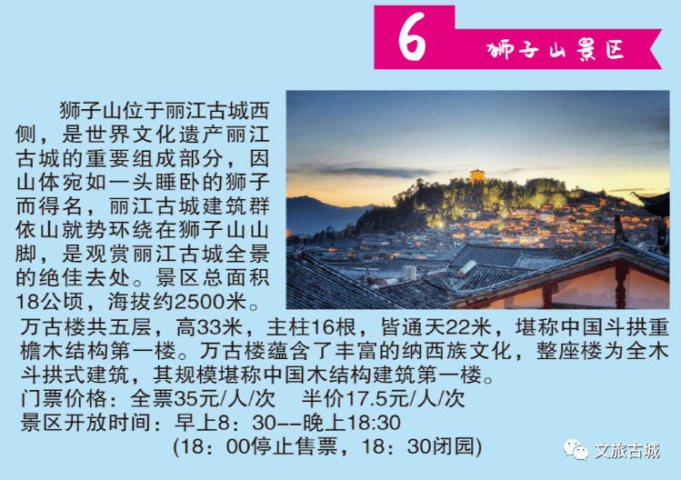 陕西武功镇日常趣事温馨呈现，2024年11月15日最新消息纪实