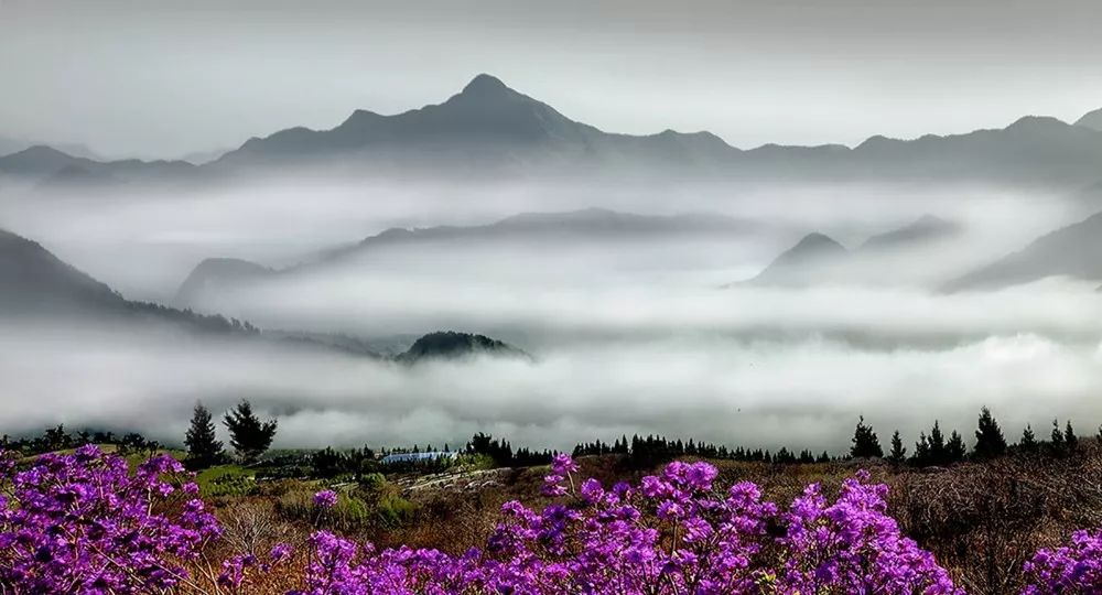 2024年11月22日 第4页