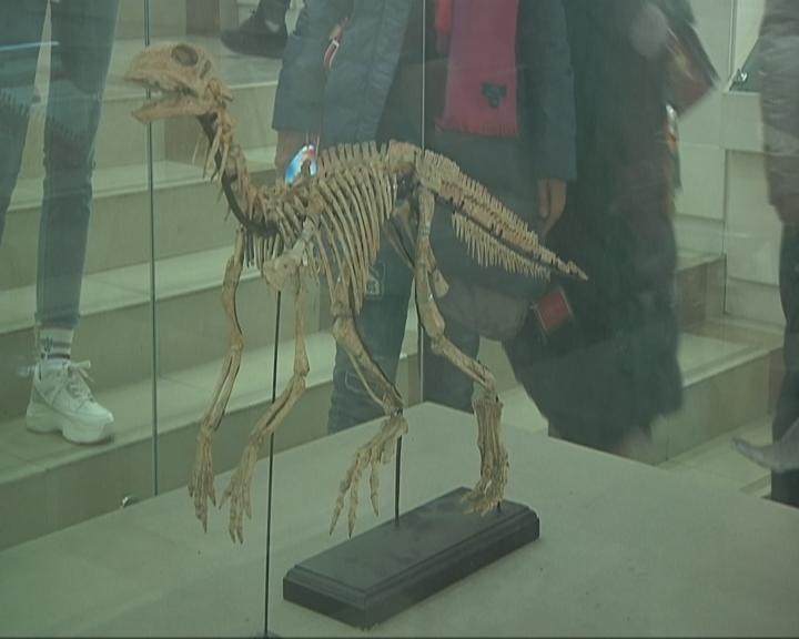 吉林省管干部公示最新动态，多元视角解读与观点碰撞的启示（往年11月15日）