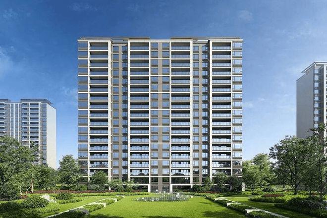 2024年11月23日 第25页