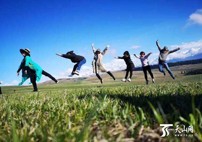 安妮的自然探索之旅，远离尘嚣的心灵奇妙之旅