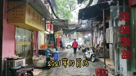 2024年11月23日 第21页