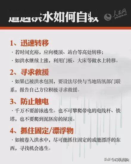 11月16日百色新闻头条多维度探讨，深度解析最新消息，以XX观点透视