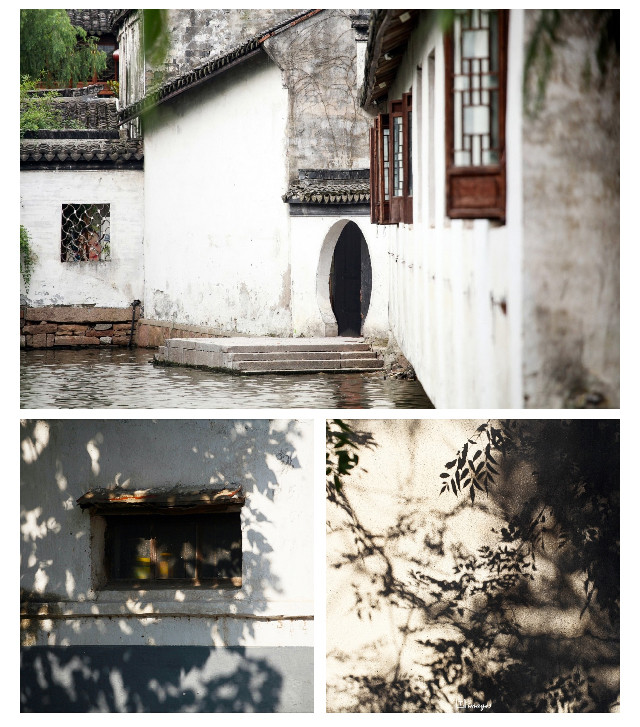 雪日裁员新动态，自然之旅助您重拾内心的宁静与平和