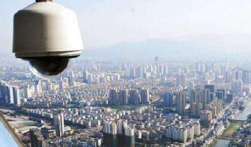 2024年11月23日 第6页