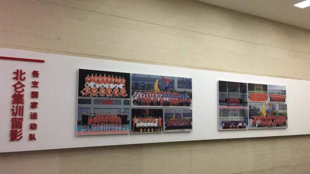 中国女排的温馨日常，排球情缘与最新动态