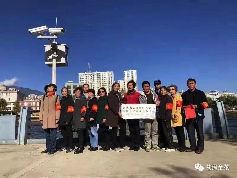 11月16日龙游戏凤最新动态，深度解析与个人观点