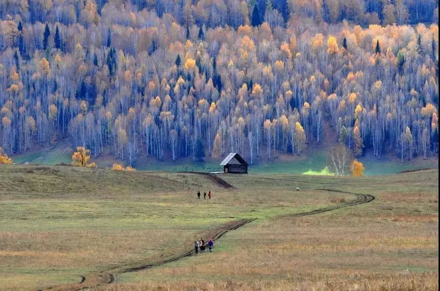 Quora最新版下载，启程探索自然秘境，寻找内心宁静的旅程