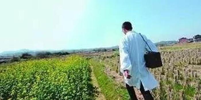 晓关乡村十一月暖阳下的爱情与友情日常