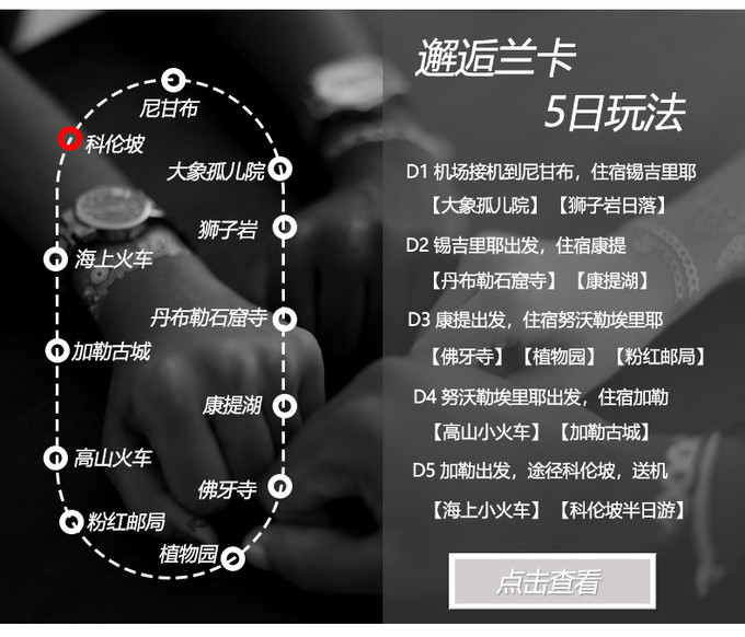 深度解析瑞兹技巧演变，最新演变与观点碰撞（11月16日更新）