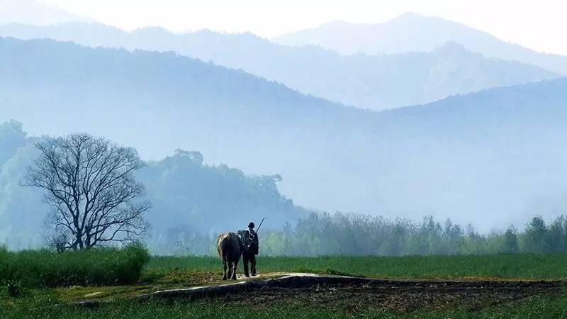 历史上的11月16日，郑州新篇章的自然美景治愈之旅最新消息