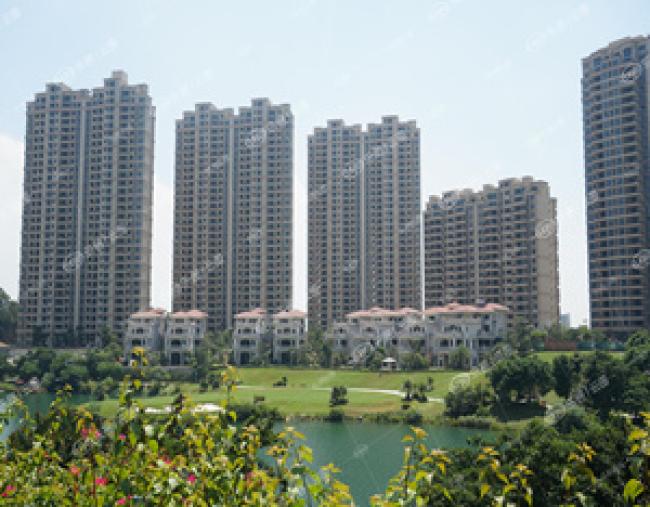 揭秘四怀论坛最新地址，掌握资讯动态速递