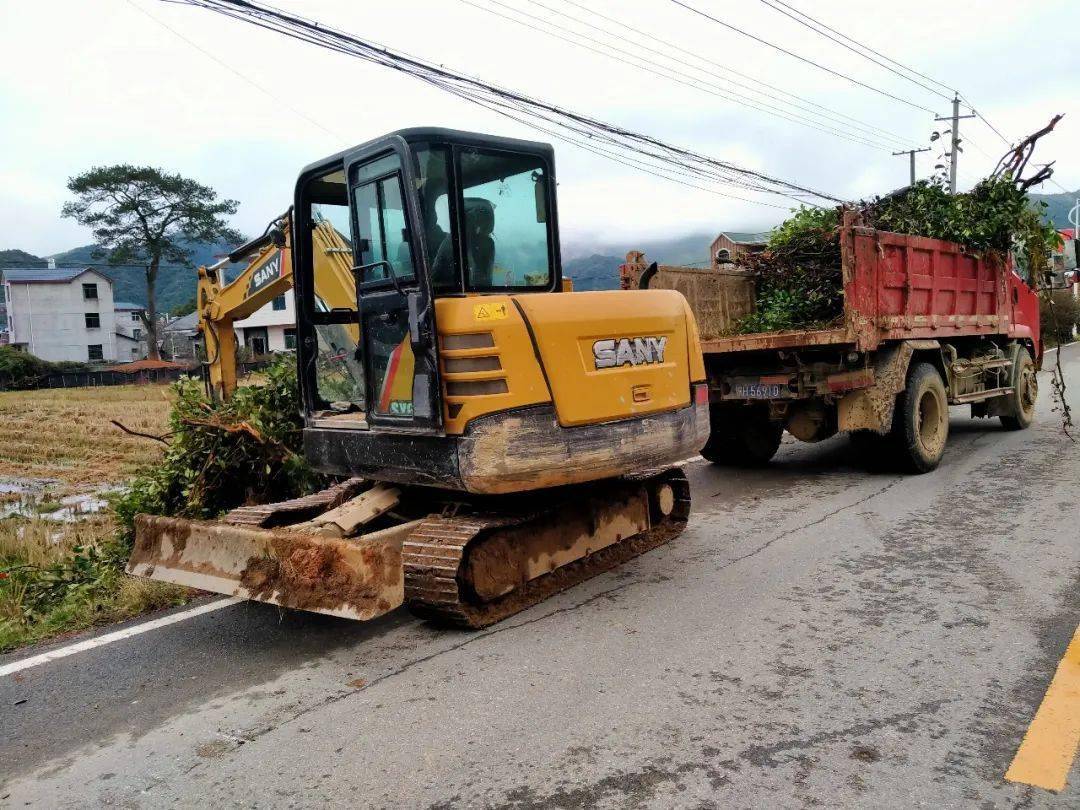 历史上的11月16日欧美疫情进展概览与最新动态