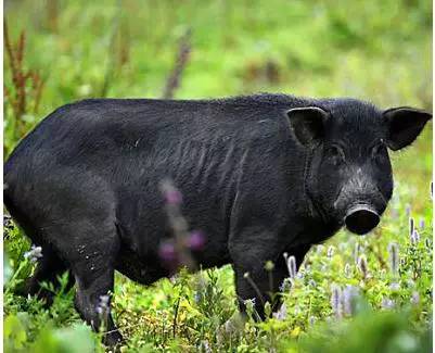 2024年11月24日 第8页