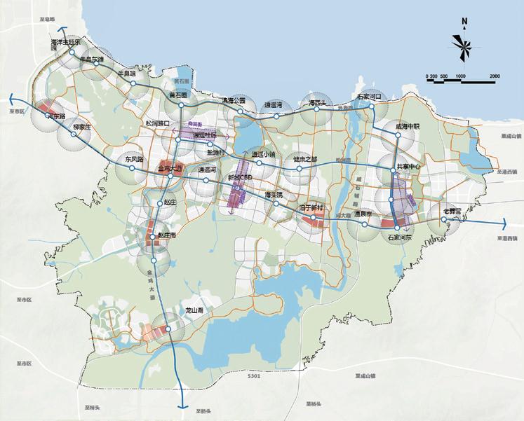 威海东部滨海新城最新动态，探秘特色小店的新鲜速递