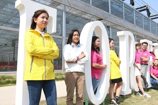 何洁新视界，电视里的温馨日常与友情纽带（2024年11月16日最新电视剧）