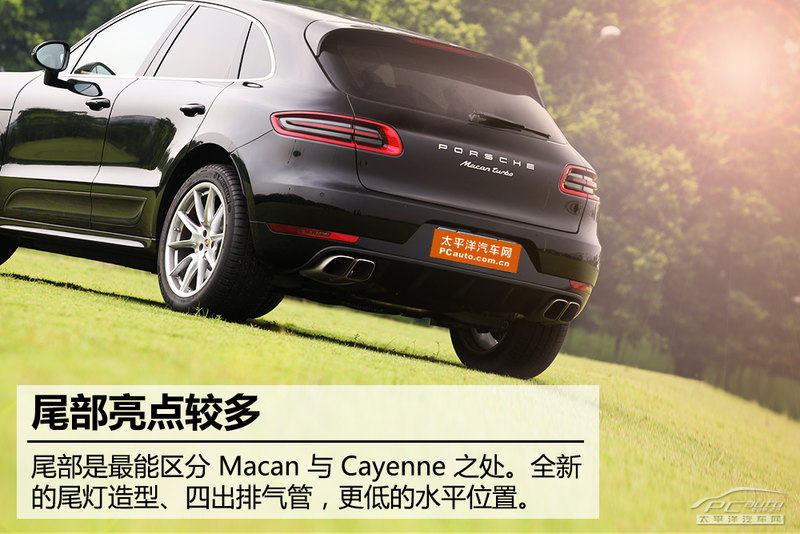 2024年11月25日 第26页