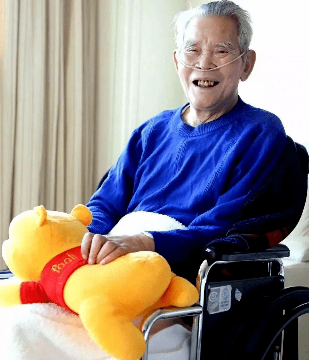 往年11月16日同花顺最新手机版，开启变化中的学习之旅，自信成就源于掌握未来