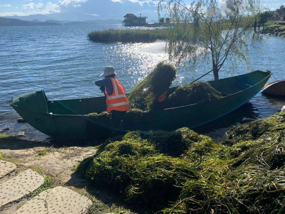 历年11月16日玉屏房价回顾与最新动态展望