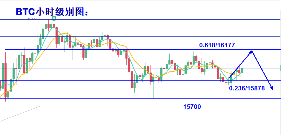 2024年11月25日 第17页