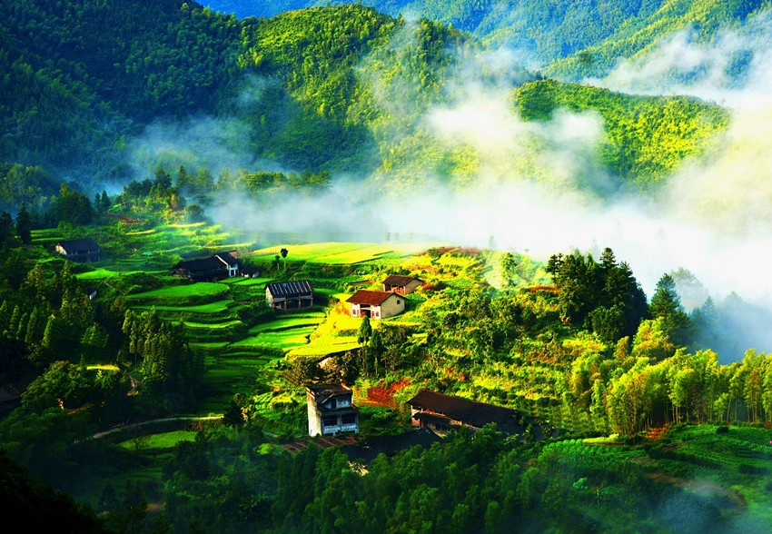 南阳三色鸽转让日，自然美景探索之旅与心灵宁静港湾的寻觅