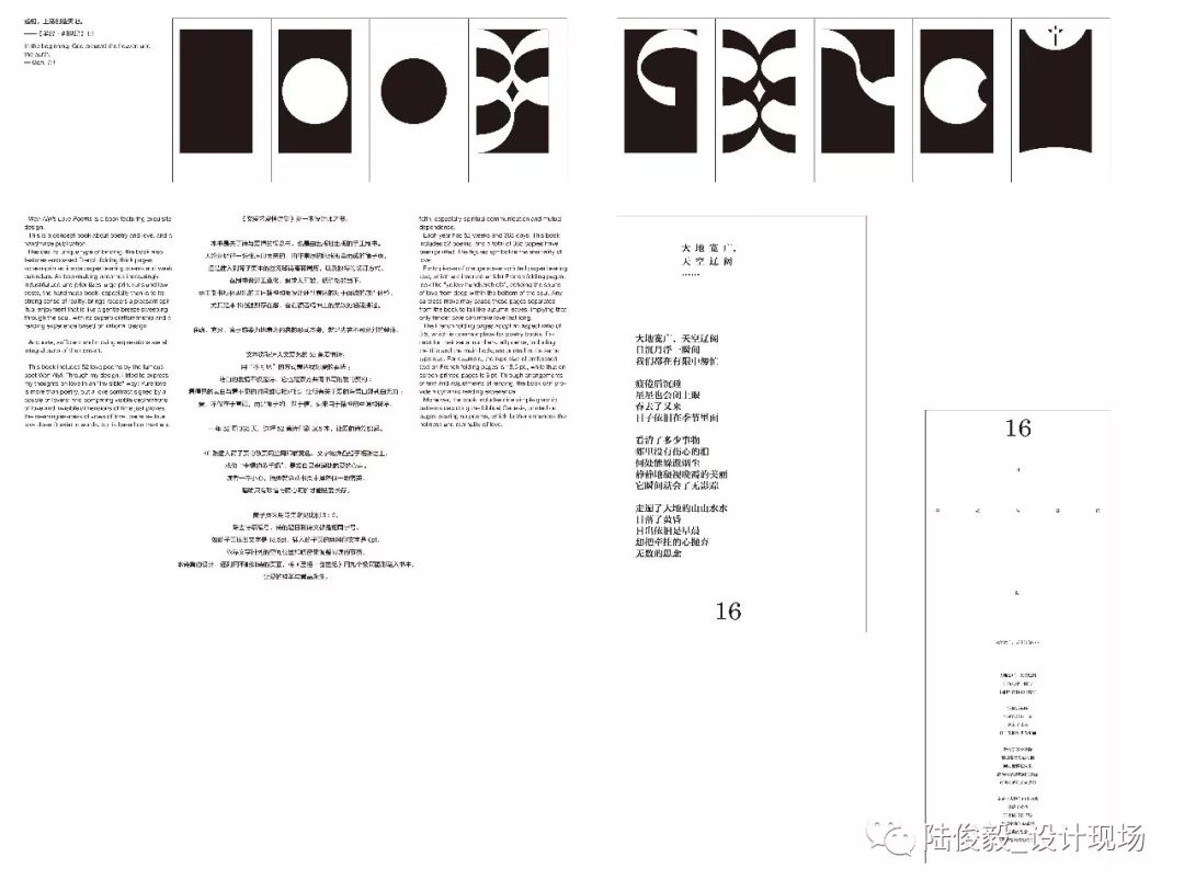 11月16日重磅新作揭秘，小说青探秘（详细解读）