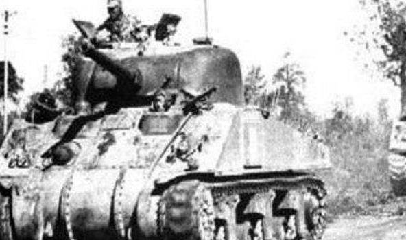 如何观看往年11月16日小鹿最新直播，详细步骤指南