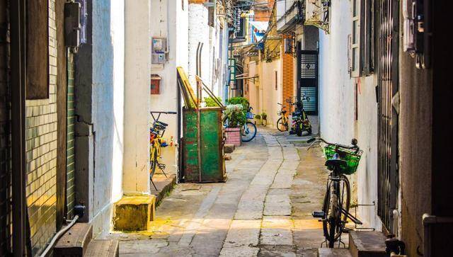 2024年11月26日 第25页