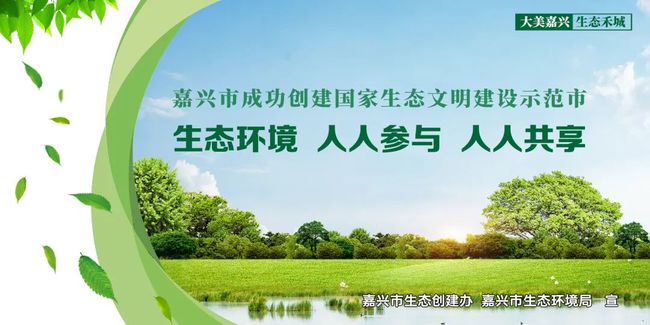 山东免费医生政策下的心灵绿水青山之旅