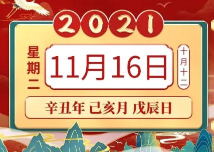 2024年11月16日十二哥最新产品全面评测与详解