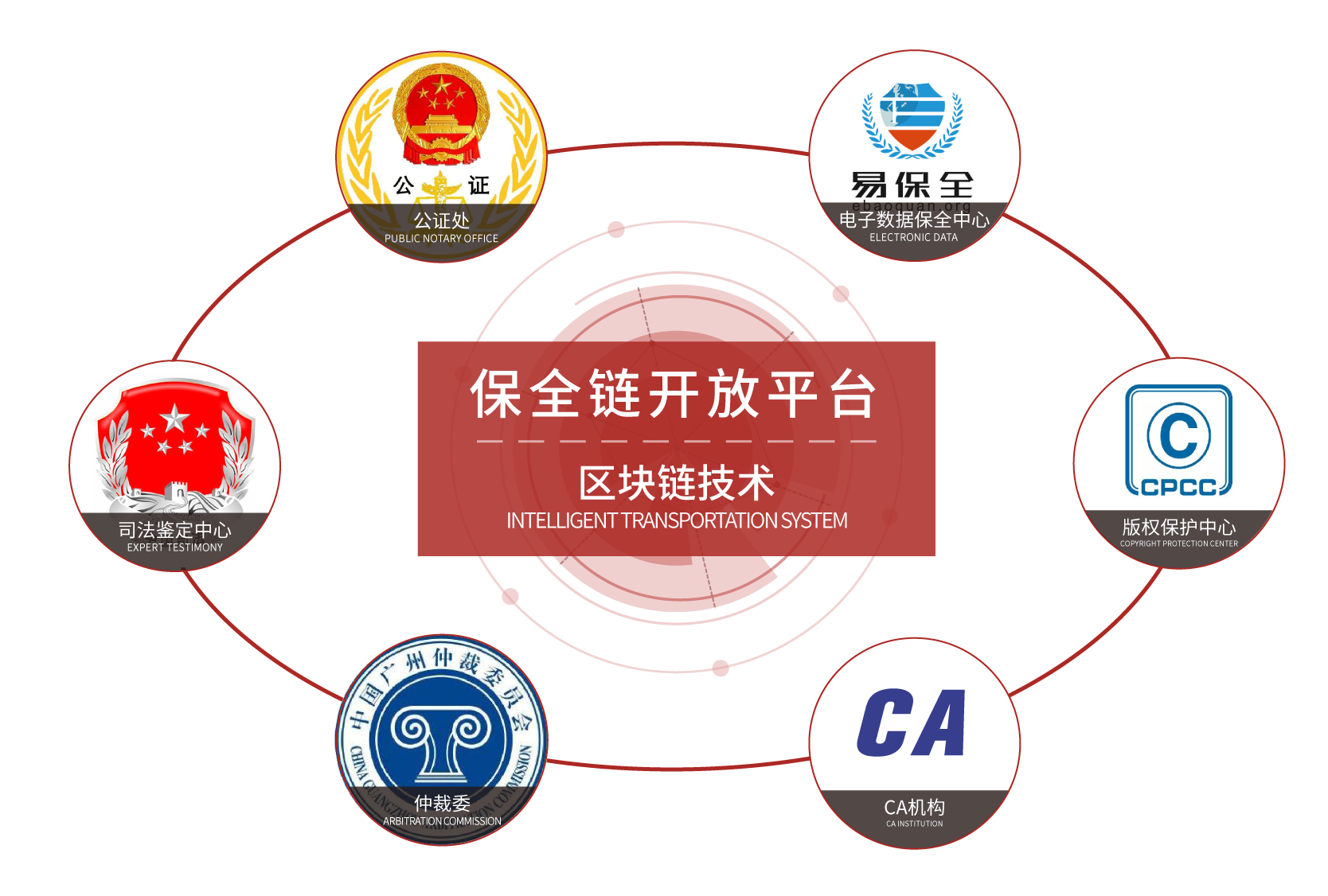 杨思慧最新工作流程指南，高效完成任务的初学者与进阶用户指南（11月17日更新）