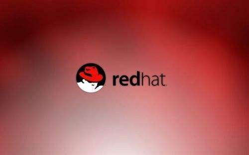 关于往年11月17日Red Hat企业Linux最新版本的探讨与分析